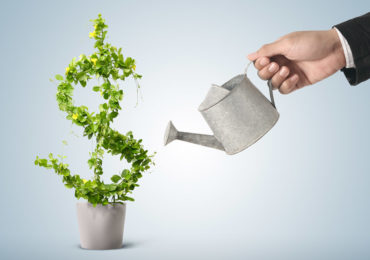 Как создать и приумножить свой капитал.